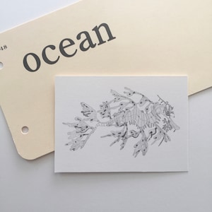 ACEO Leafy Sea Dragon Seahorse Original Art Sea Ocean Beach