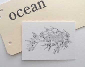 ACEO Leafy Sea Dragon Seahorse Original Art Sea Ocean Beach