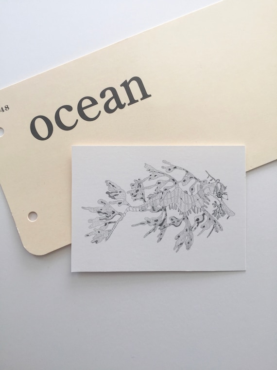 Seahorse Leafy Sea Dragon Ocean Nautical Beach Sea Aceo Etsy