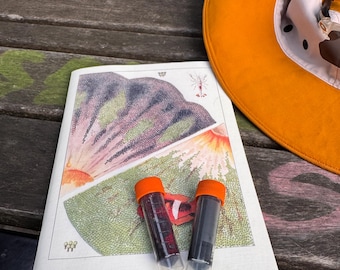 Fountain Pen Ink Sample Set – 5ml Pilot Momiji + Sailor 340 Blue