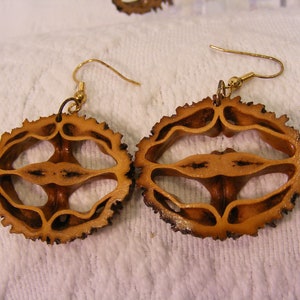 May include: A pair of earrings made from walnut shells. The shells are hollowed out and have a delicate, intricate design. The earrings are attached to gold-colored hooks.