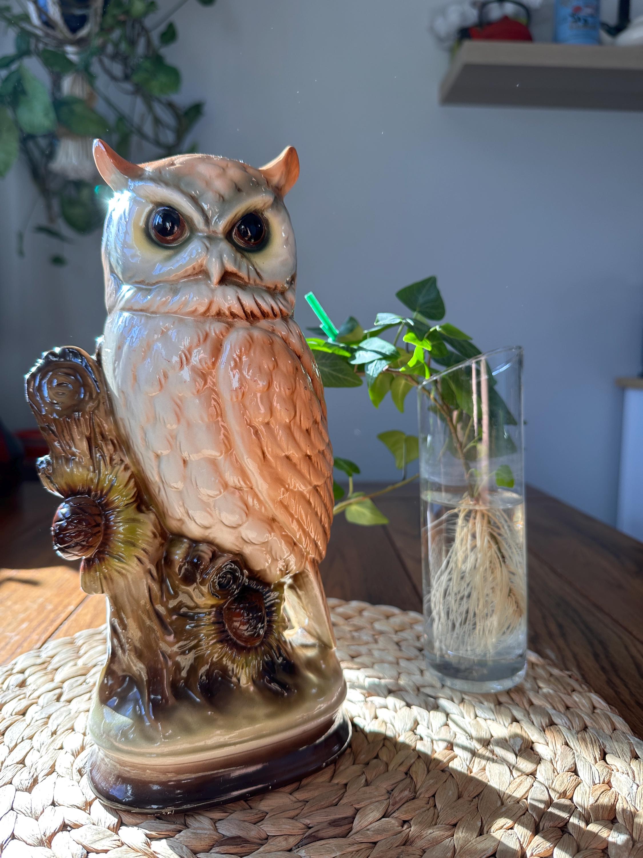 Vintage Rossini West Germany Owl Figurine &ndash; Hand Painted Porcelain Finish | Crystal Cut Detail