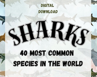 May include: A digital download poster featuring illustrations of various shark species arranged in a grid. The text reads DIGITAL DOWNLOAD, SHARKS, and 40 MOST COMMON SPECIES IN THE WORLD. The background displays a watercolor-style underwater scene.