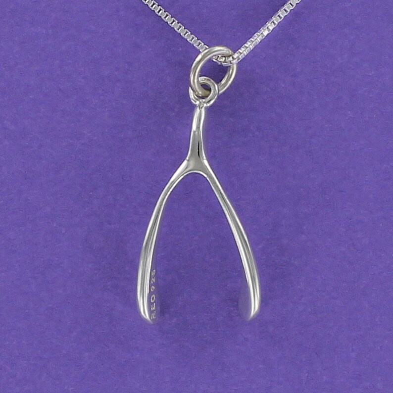 Lgu Sterling Silver One Sided Wishbone Necklace