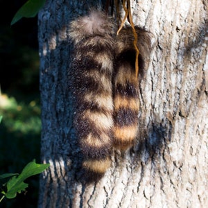 Natural Raccoon Tail 8-10 inches with Buckskin Tie image 3