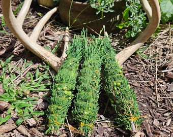 minnesota prairie juniper ~ juniper bundle wrapped w organic cotton thread