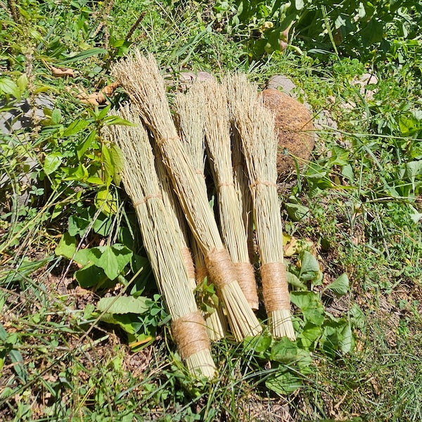 Cobweb.Broom Besom ~ Natural Broom Corn w Jute Twine ~ Simple Small Broom