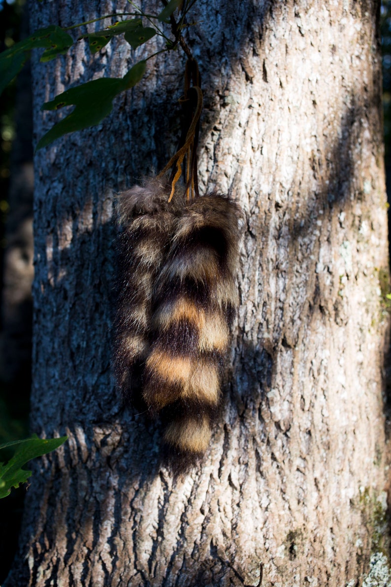 Natural Raccoon Tail 8-10 inches with Buckskin Tie image 4