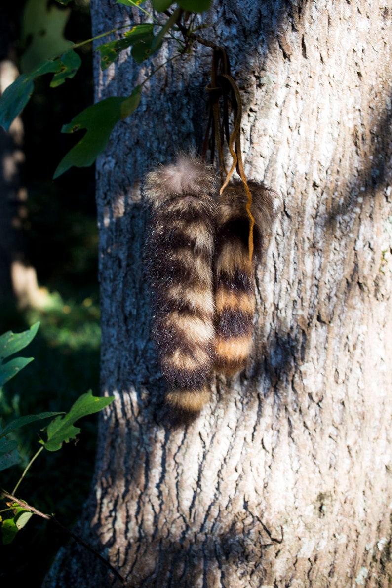 Natural Raccoon Tail 8-10 inches with Buckskin Tie image 3