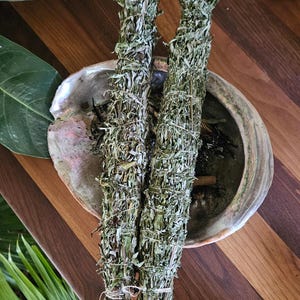 May include: Two bundles of dried sage, wrapped with twine, rest in a decorative abalone shell. The sage is green and gray, and the shell has iridescent colors. The arrangement sits on a wooden surface with green foliage.