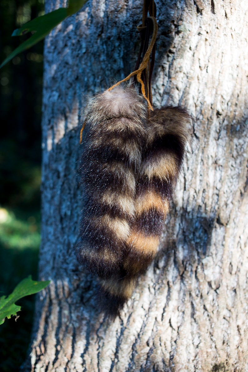 Natural Raccoon Tail 8-10 inches with Buckskin Tie image 5