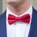 see more listings in the Bow Ties section