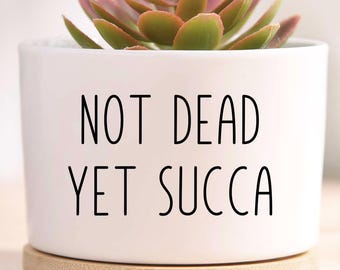 May include: A white ceramic plant pot with the text "NOT DEAD YET SUCCA" in black, containing a succulent with green and pink leaves. The pot rests on a small wooden saucer.