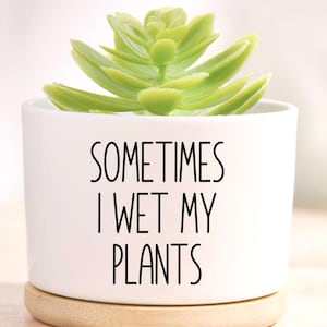 May include: A white ceramic plant pot with the text "SOMETIMES I WET MY PLANTS" in black. It contains a green succulent and rests on a round, light-coloured wooden base. The background is blurred, with a glimpse of a green liquid.