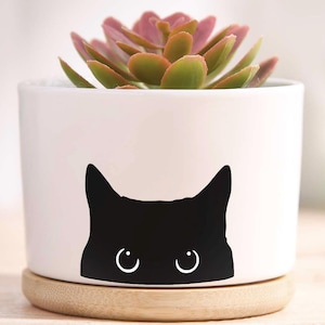 Può includere: Vaso in ceramica bianca con un disegno di faccia di gatto nero, contenente una pianta succulenta con foglie verdi e rosa. Il vaso poggia su un piattino rotondo in legno naturale. Decorazione.