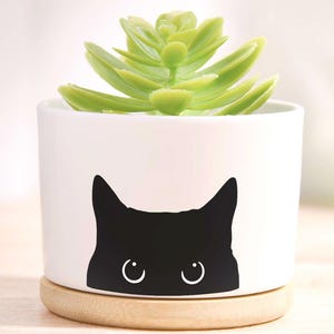 Könnte beinhalten: Ein weißer Keramik-Pflanztopf mit einem schwarzen Katzen-Design, der eine grüne Sukkulente enthält. Der Topf steht auf einem runden, hellen Holzsockel. Die Katzen-Silhouette zeigt Ohren und Augen.