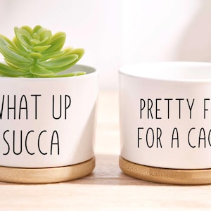May include: Two white ceramic planters with bamboo bases. One contains a green succulent. The first planter reads "WHAT UP SUCCA" and the second reads "PRETTY FLY FOR A CACTI". These planters are ideal for small succulents or cacti.