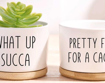 May include: Two white ceramic plant pots with bamboo bases. One contains a green succulent. The first pot reads "WHAT UP SUCCA" and the second reads "PRETTY FLY FOR A CACTI". These pots are ideal for small succulents or cacti.
