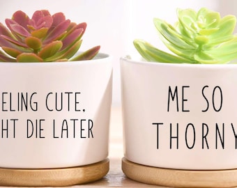 Puede incluir: Dos pequeñas macetas de cerámica blanca con suculentas. Una tiene una suculenta rojiza-verde y el texto "FEELING CUTE. MIGHT DIE LATER." La otra tiene una suculenta verde y el texto "ME SO THORNY."