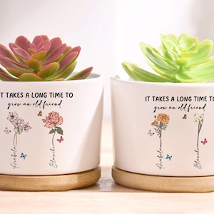 Personliga blomkrukor för bästa vänner, blomkruka med födelsemånad, bästa vänpresent till henne, presenter till distansvänskap, present till systrar