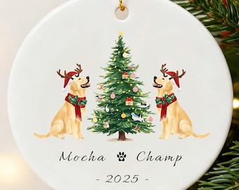 Personalized Dog Christmas Ornament - Personalized Cat Ornament - Custom Dog Name Christmas Ornament - Pet Memorial Ornament