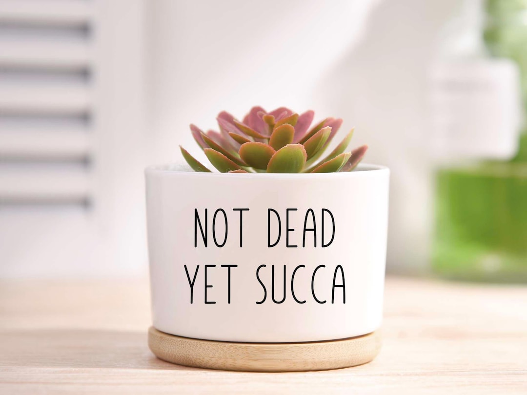 Funny Succulent Pots, Small Flower Pot With Bamboo Drip Tray, Cute ...