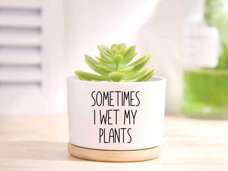 Funny Succulent Pot - Cactus Pot - Small Planter With Drainage ...