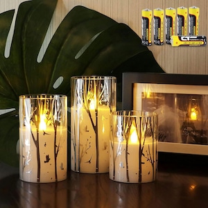 Birch Design Glass Battery Operated LED Candles with Timer, Flameless Pillar Candles Spring & Summer Decor- Include 6 Batteries