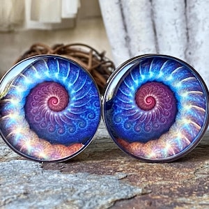 May include: A pair of round, silver-toned plugs featuring a spiral design. The design showcases a gradient of colors, including blue, purple, and orange, resembling a nautilus shell. The plugs are displayed on a textured surface.