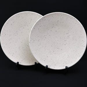 Set di 2 piatti da portata giapponesi Mino Ware – 10,8 pollici in ceramica bianca con macchie grigie – Prodotto in Giappone, stoviglie minimaliste