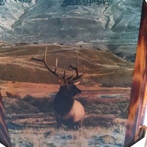Vintage Elk and Pheasant Mounted Pictures Set of Two