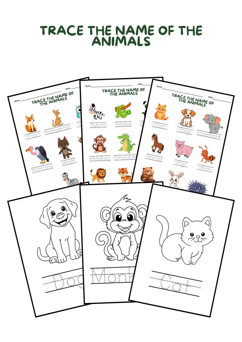Animal Name Tracing Worksheets for Kids | Preschool Writing Practice | Printable PDF - Etsy