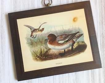 Vintage Wigeon Duck Wood Wall Plaque, Bird Wall Hanging, Cabin Country Decor