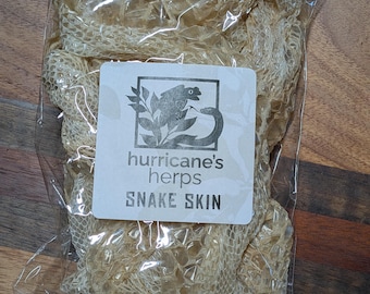 May include: A package of snake skin. The snake skin is a light tan color and is packaged in a clear plastic bag. The label reads "hurricane's herps SNAKE SKIN" with a logo of a snake and leaves.