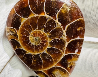 Natuurlijke ammoniet fossiele cabochon genezende stenen sieraden maken van benodigdheden.