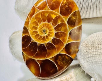 Natuurlijke ammoniet cabochon fossiele steen voor het maken van sieraden, draadwikkeling.