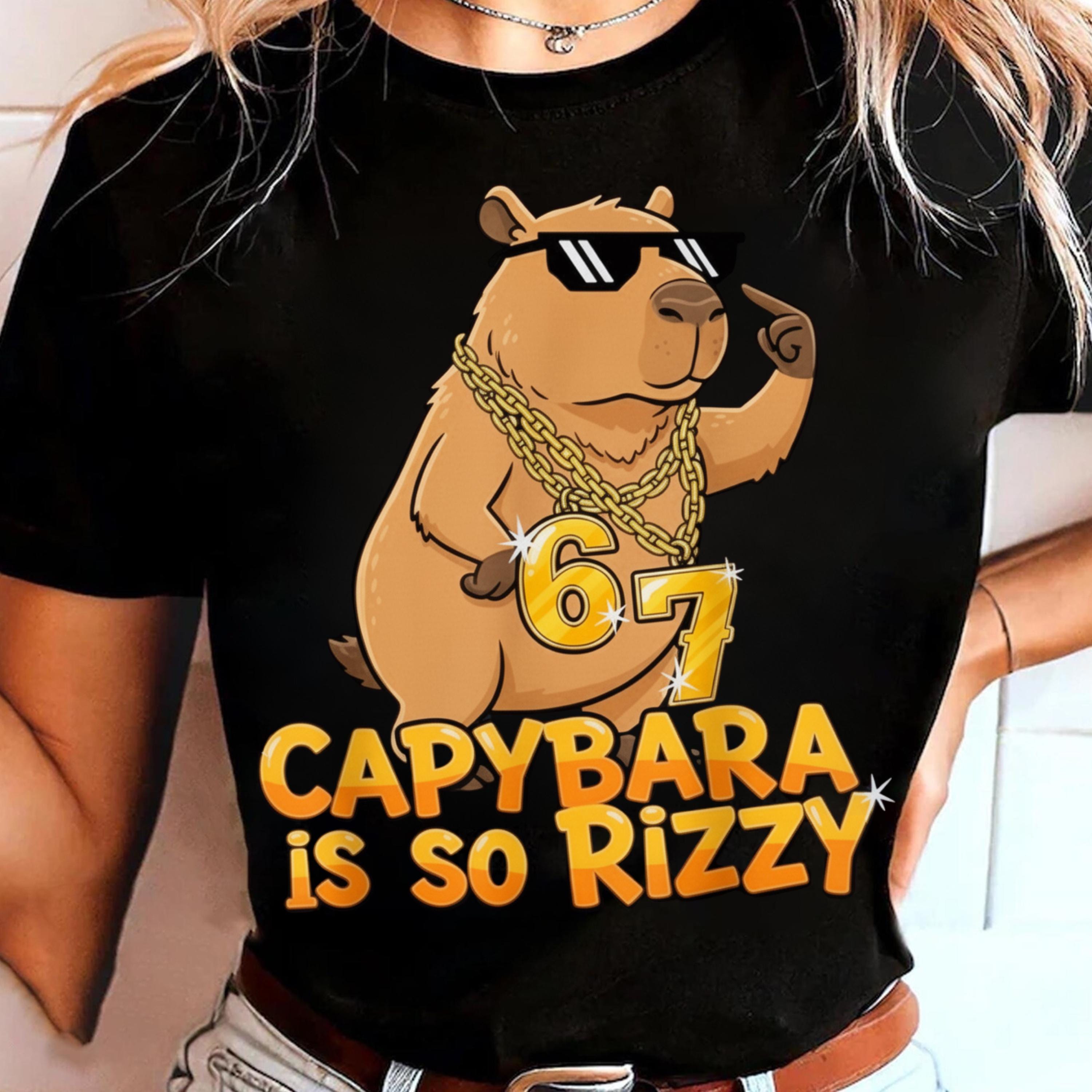 Funny Capybara 67th Birthday Meme PNG | Gen Alpha Digital Download - Etsy