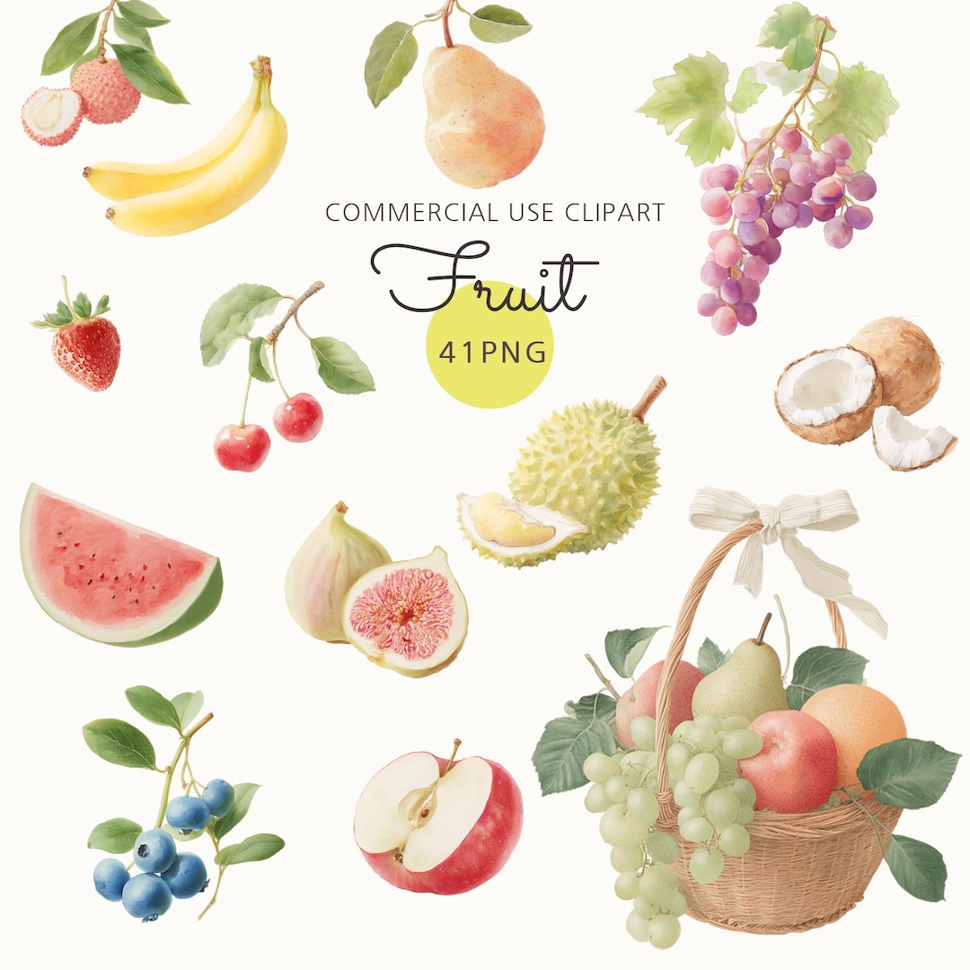 Watercolor Fruit Clipart Bundle : 41 PNG Botanical Clip Art ...