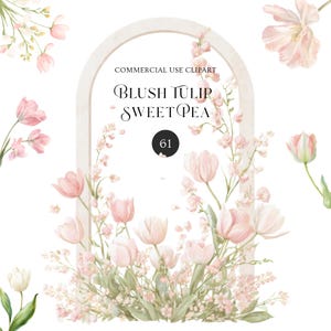 61 Soft Pastel Blush Tulip Floral Wreath Border Frames Clipart Bundle l Watercolor Flowers Wedding PNG Cottagecore Botanical Art