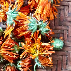 Calendula Oil