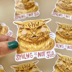 Adesivo gatto sarcastico "smiling is not my job", adesivo divertente gatto arancione, adesivo ironico regalo per amante dei gatti