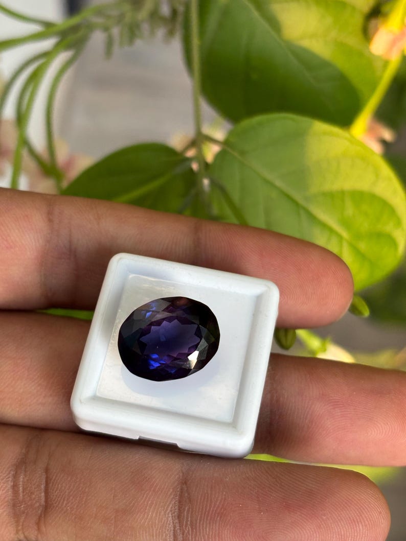 May include: An oval-cut, deep purple gemstone is displayed in a white plastic case. The gemstone has a polished surface that reflects light, showcasing its color variations. The background features green leaves, adding a natural contrast to the gem.