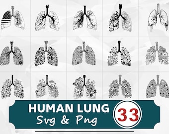 Silueta de pulmón humano (SVG/PNG), imágenes prediseñadas de anatomía, archivos de corte de Cricut