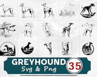 May include: A collection of 15 black and white Greyhound dog illustrations in various poses. The image includes a graphic with the text "GREYHOUND SVG & PNG" and the number "35" in a red circle, indicating the number of designs available.