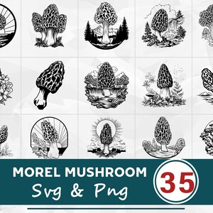 Puede incluir: Quince ilustraciones en blanco y negro de setas de colmenilla en varios diseños. Algunos diseños incluyen elementos naturales como árboles, montañas y rayos de sol. El texto "MOREL MUSHROOM Svg & Png" se muestra en la parte inferior, junto con el número "35".
