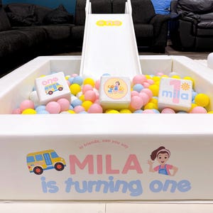 Ms. Rachel Vinyl Decal Stickers for Ball Pit Bouncy Castle Soft Play Items