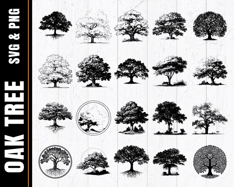Oak Tree SVG PNG Bundle: Silhouette Vector, Cricut Cut Files (digital ...