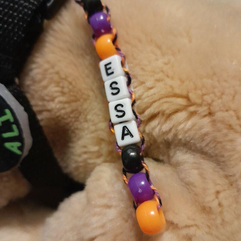 Essa Fidget Keychain Essa Gear - Etsy