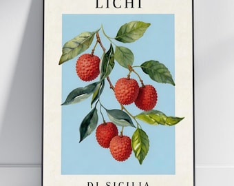 Lámina artística LICHI Sicilia - Ilustración botánica vintage, rojo coral y azul claro