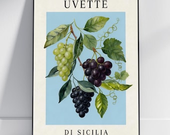 Lámina artística Uvetta di Sicilia / Acuarela botánica en gouache, azul claro y verde salvia - Cocina